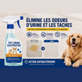 Spray anti-odeur urine chien élimine taches et odeurs à la source avant après tapis