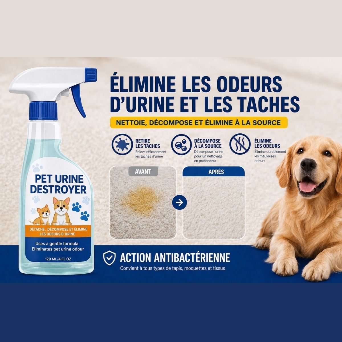 Spray anti-odeur urine chien élimine taches et odeurs à la source avant après tapis