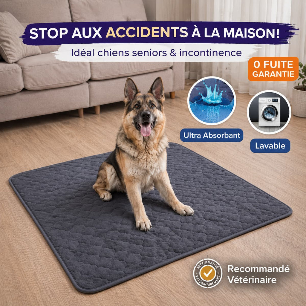 tapis absorbant lavable pour chien senior incontinence maison propre