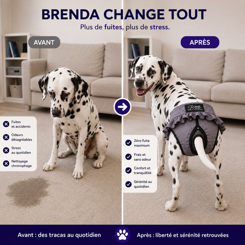 Culotte Brenda Anti-Fuite Lavable pour Chienne | Incontinence Chien Senior