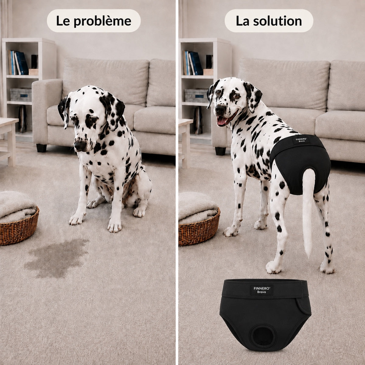 Problème et solution avec la culotte Brava lavable pour chienne