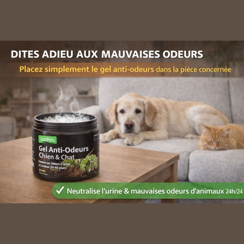 Gel anti-odeurs chien et chat pour éliminer les odeurs d’urine à la maison