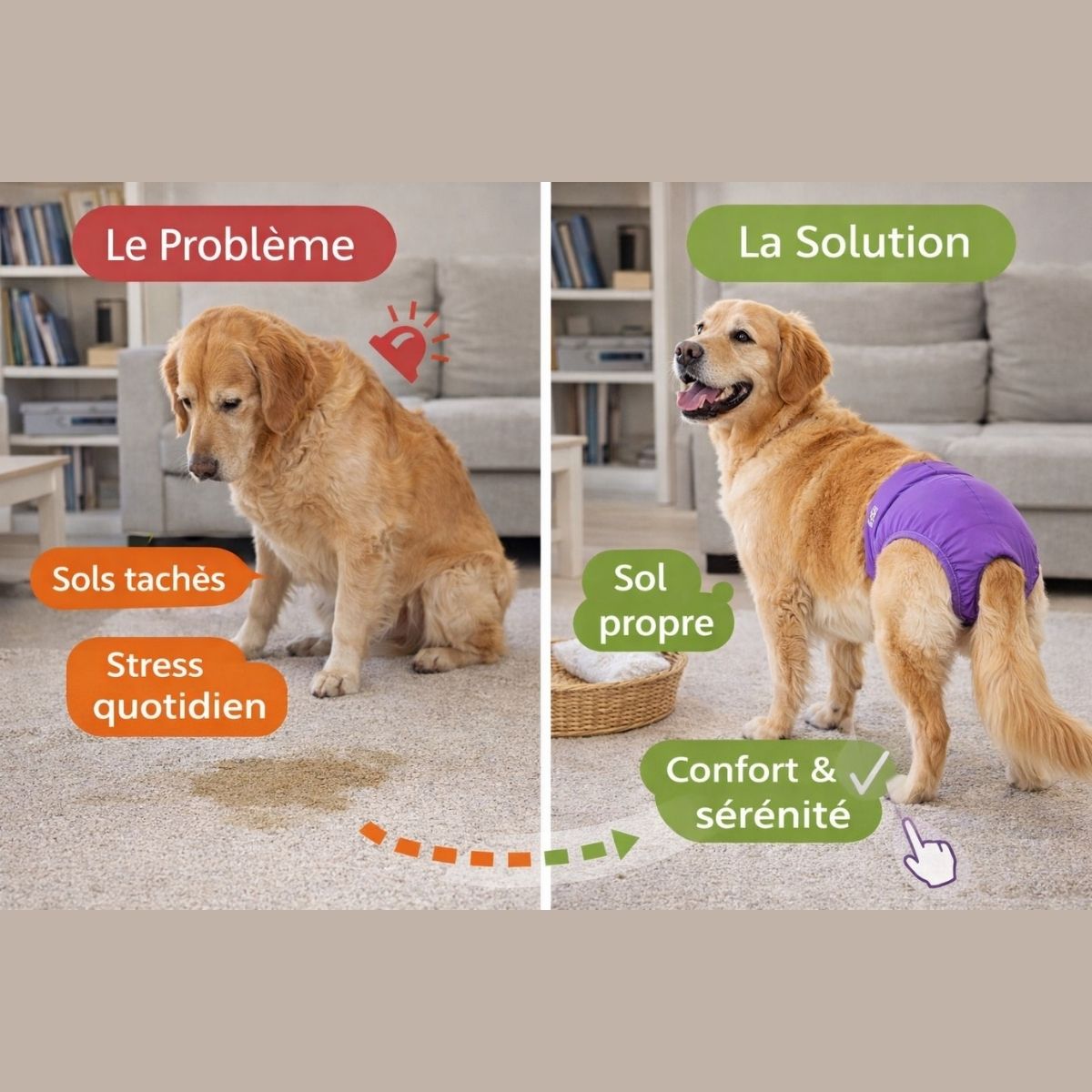 culotte lavable  chien femelle anti fuite confortable absorbante lavable réutilisable
