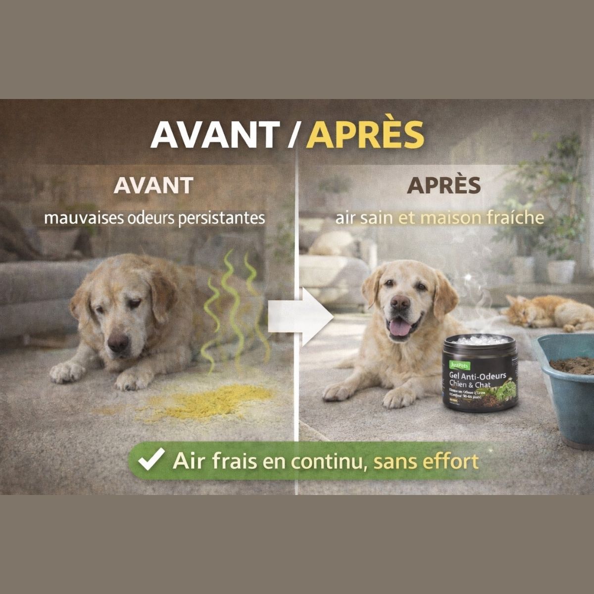 Avant après élimination des odeurs d’animaux avec un gel anti-odeurs chien et chat