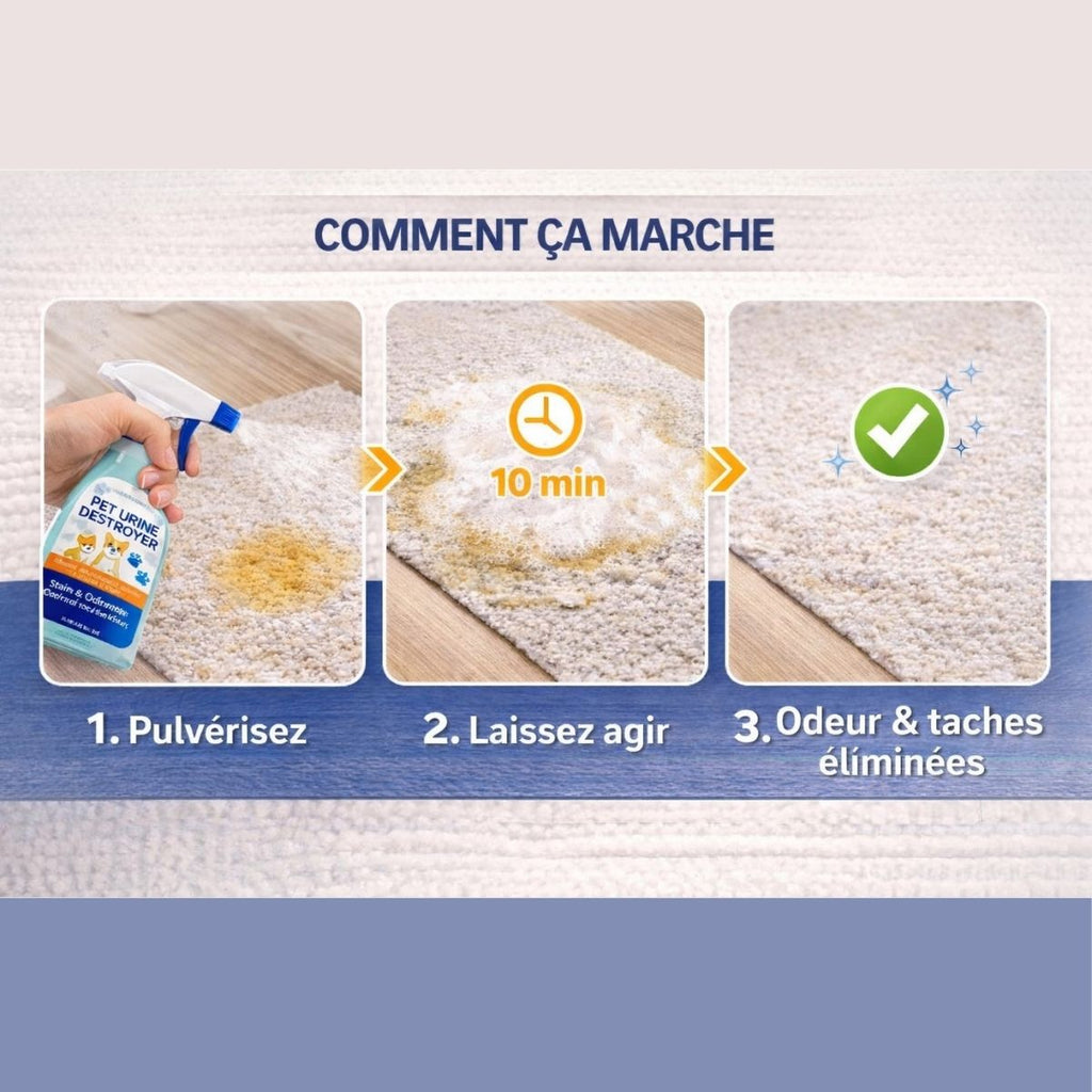 Spray anti-odeur chien fonctionnement décompose urine et neutralise odeurs