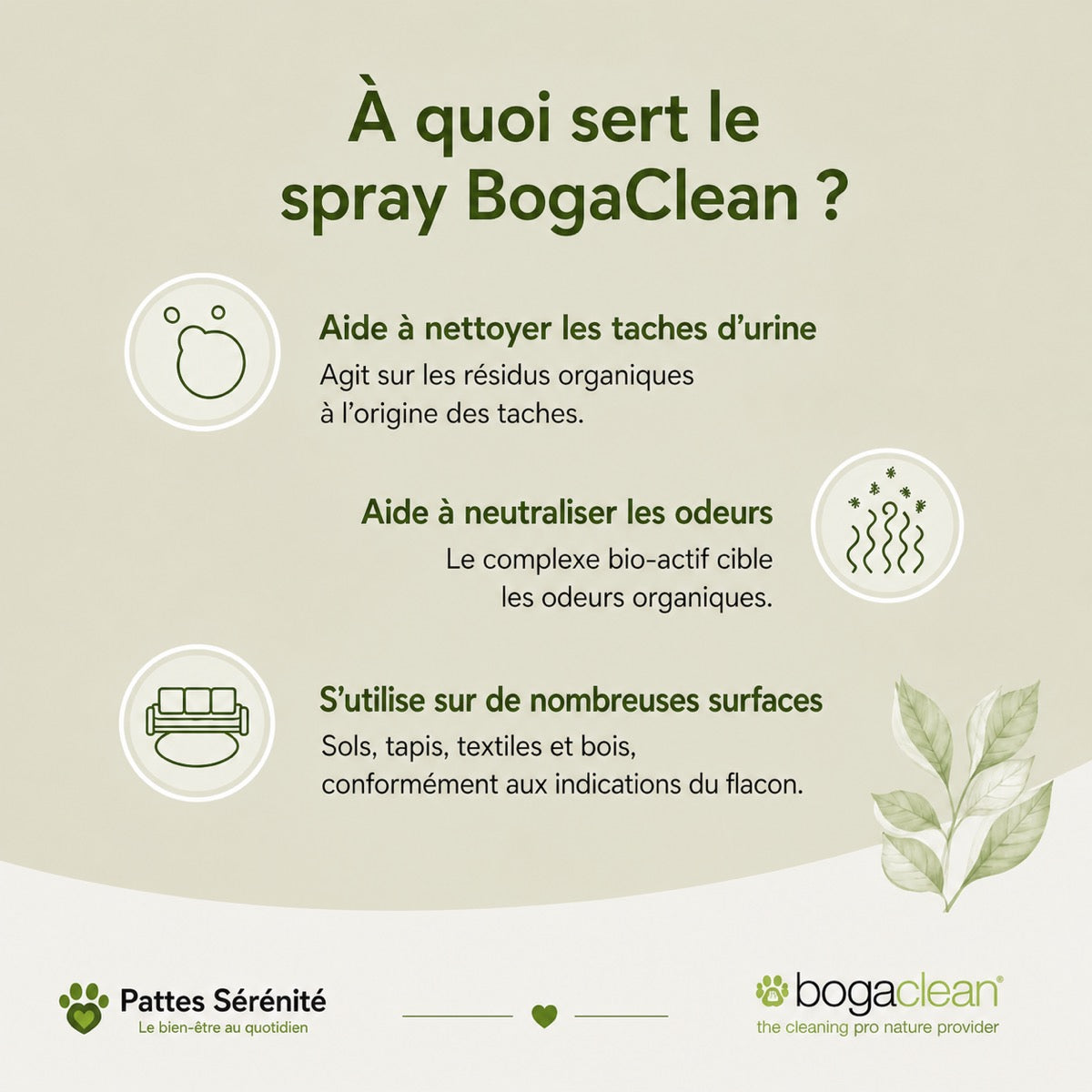 Usages du spray BogaClean pour les taches d’urine, les odeurs organiques et les surfaces adaptées
