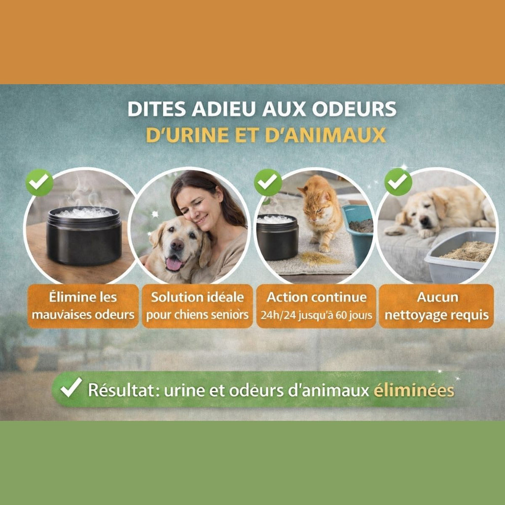 Solution pour éliminer les odeurs d’urine et d’animaux durablement sans nettoyage