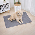 chien senior allongé sur tapis absorbant lavable maison gris