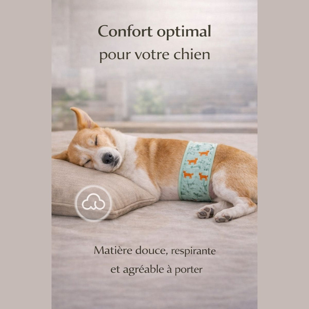 bandeau absorbant chien confortable doux respirant maintien parfait