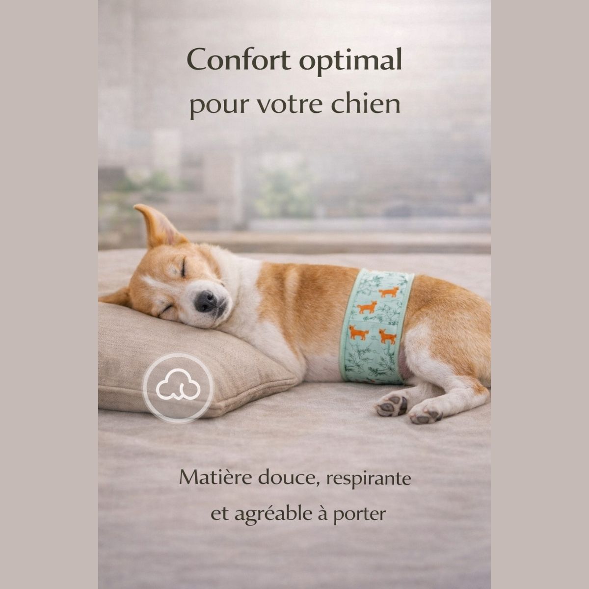 bandeau absorbant chien confortable doux respirant maintien parfait