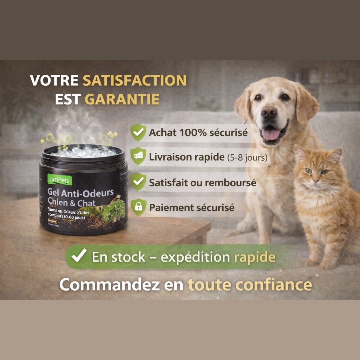 Solution pour éliminer les odeurs d’urine et d’animaux durablement sans nettoyage
