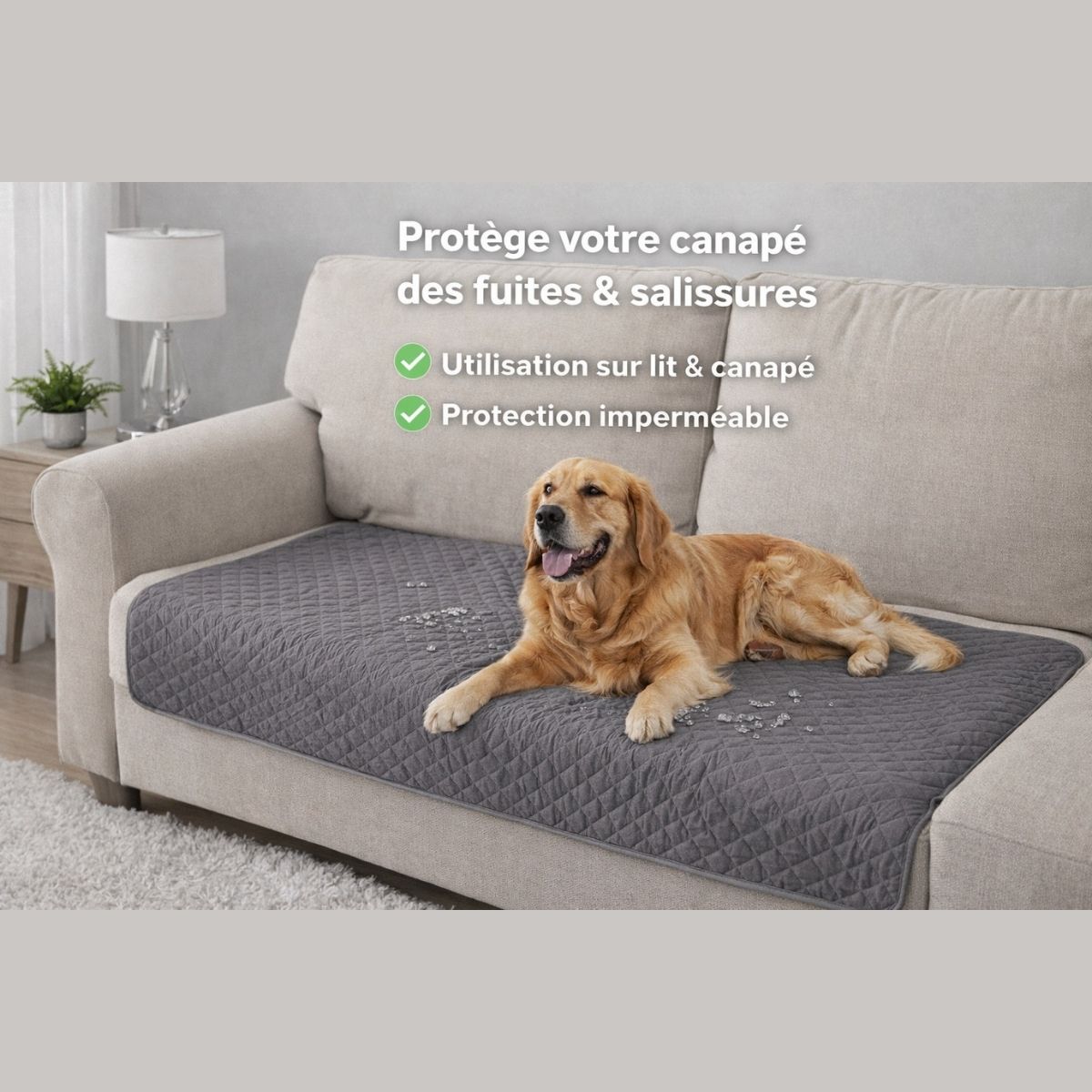 Tapis imperméable pour chien sur canapé, protection anti-fuite et anti-salissures pour chien senior