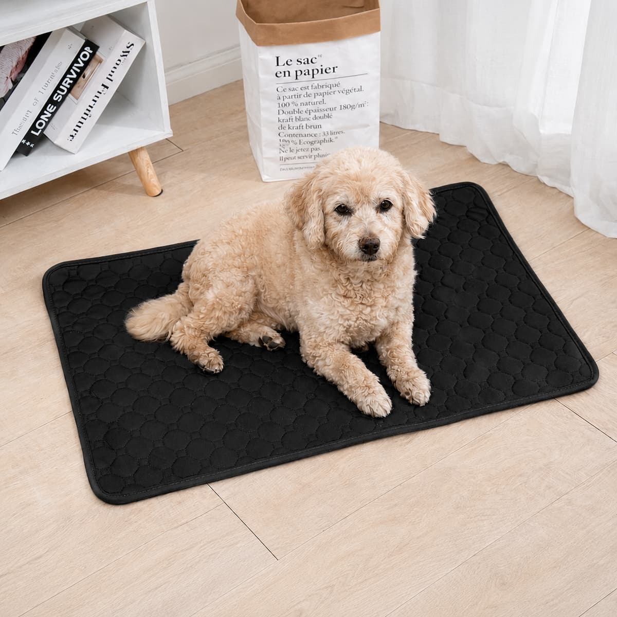 chien senior allongé sur tapis absorbant lavable maison noir