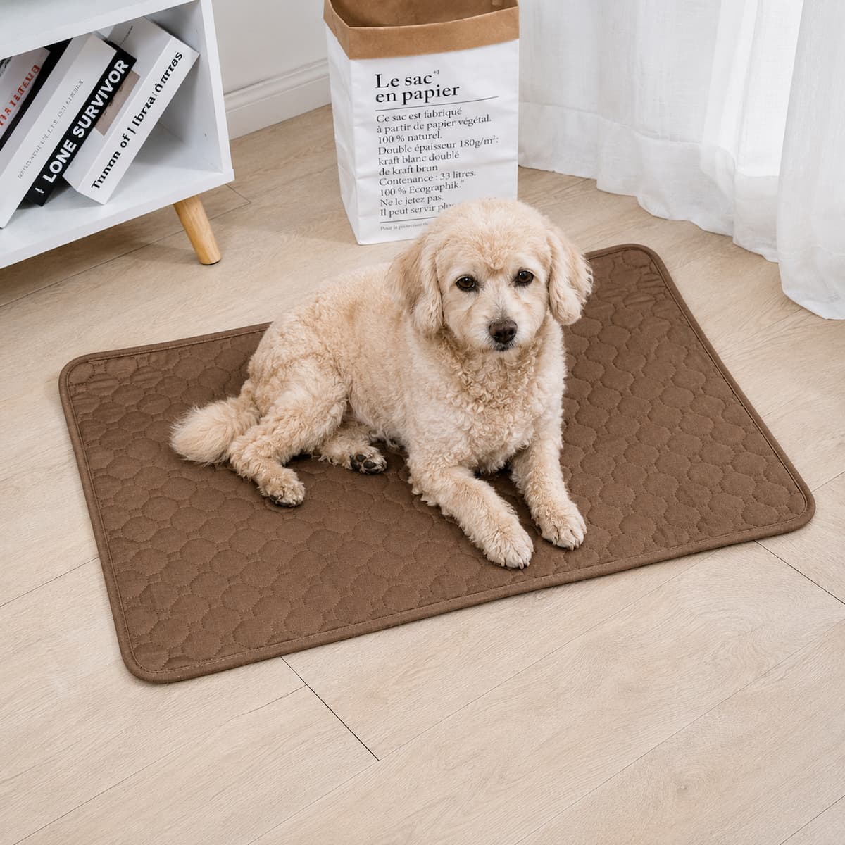 chien senior allongé sur tapis absorbant lavable maison marron