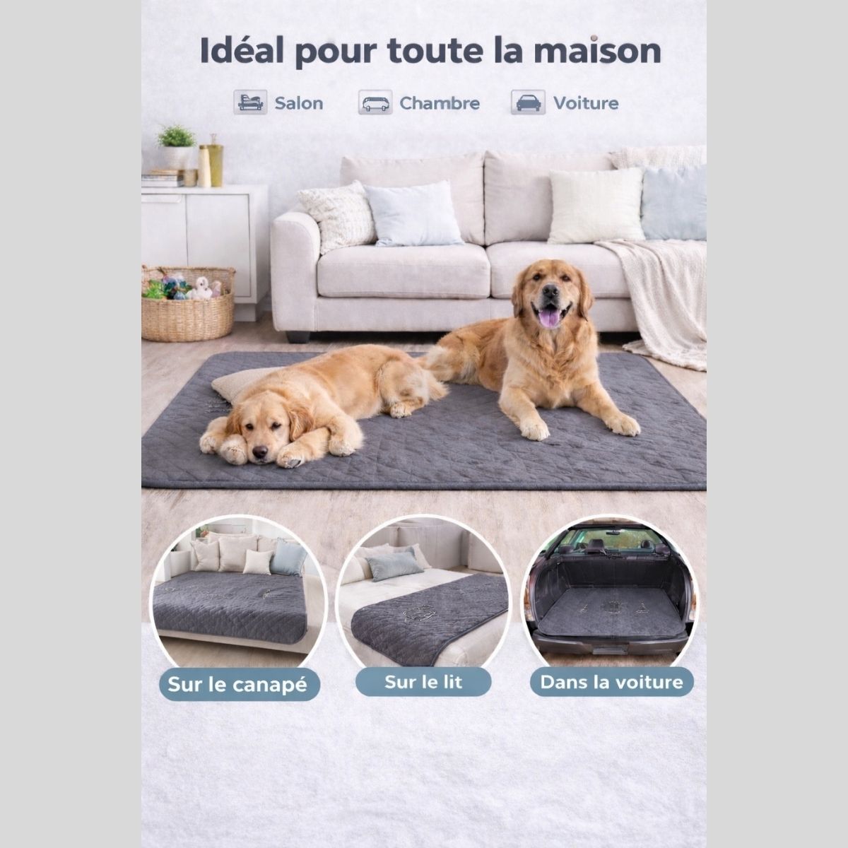 tapis imperméable pour chien utilisé dans salon chambre et voiture avec chien confortablement installé