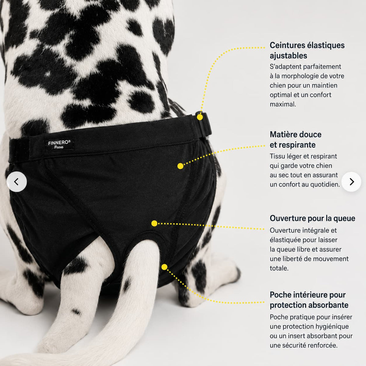 Culotte Brava portée par un chien vue arrière caractéristiques techniques