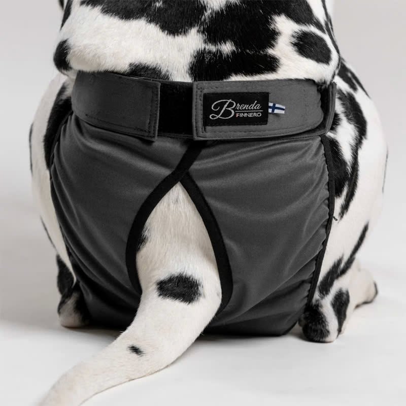 Culotte Brenda anti-fuite lavable pour chienne avec fermeture Velcro réglable – vue arrière