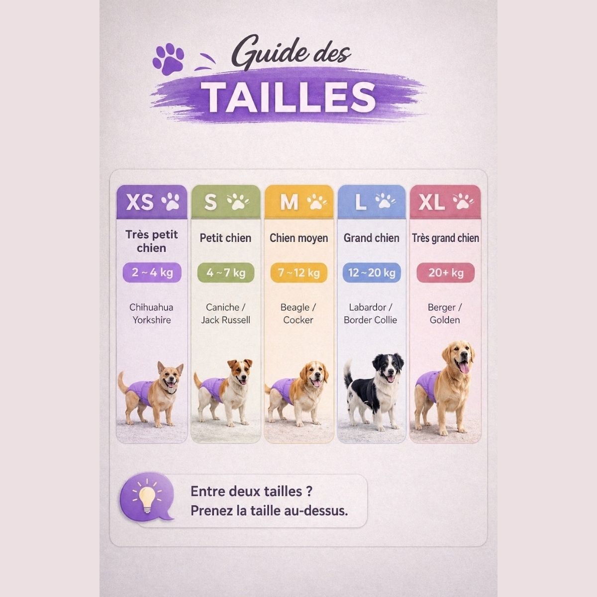 guide tailles culotte lavable chien femelle choisir taille chienne