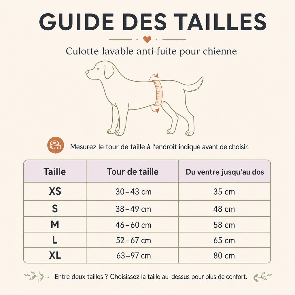 Guide des tailles de la culotte lavable pour chienne en centimètres