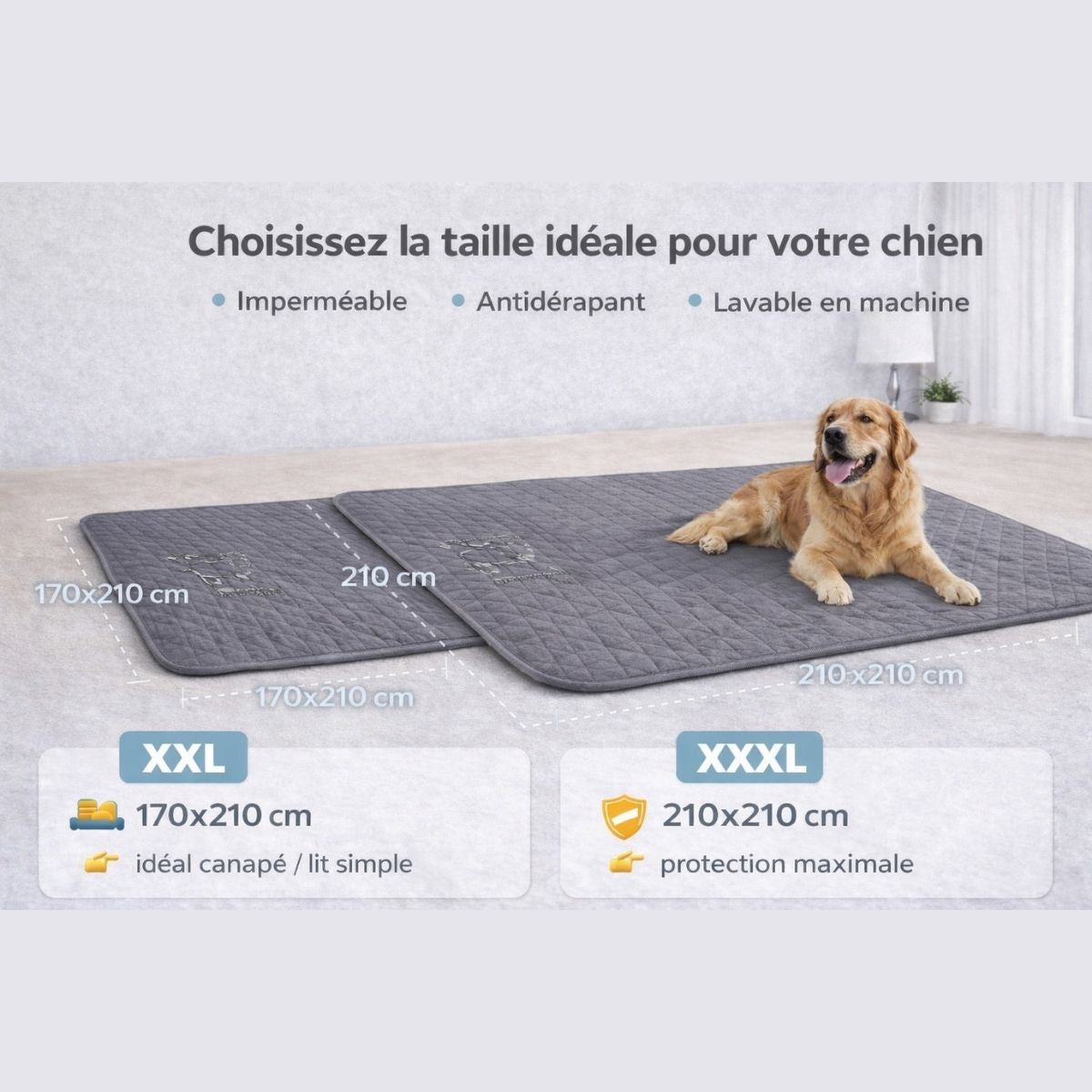 Guide des tailles tapis imperméable XXL et XXXL pour chien avec dimensions et usage canapé ou lit