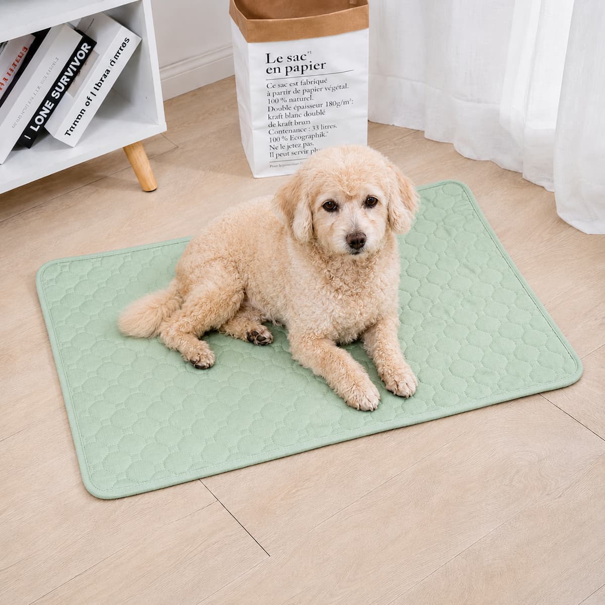 chien senior allongé sur tapis absorbant lavable maison vert