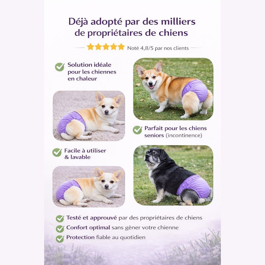 culotte lavable chien protection fiable sans fuite confort sécurité utilisation quotidienne