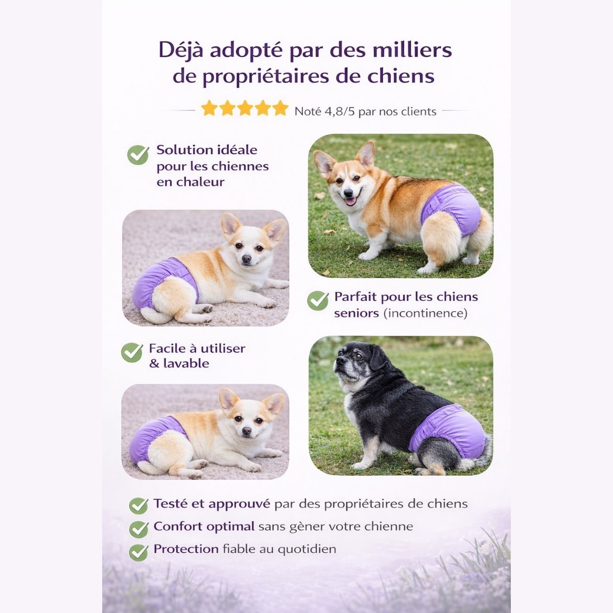 culotte lavable chien protection fiable sans fuite confort sécurité utilisation quotidienne