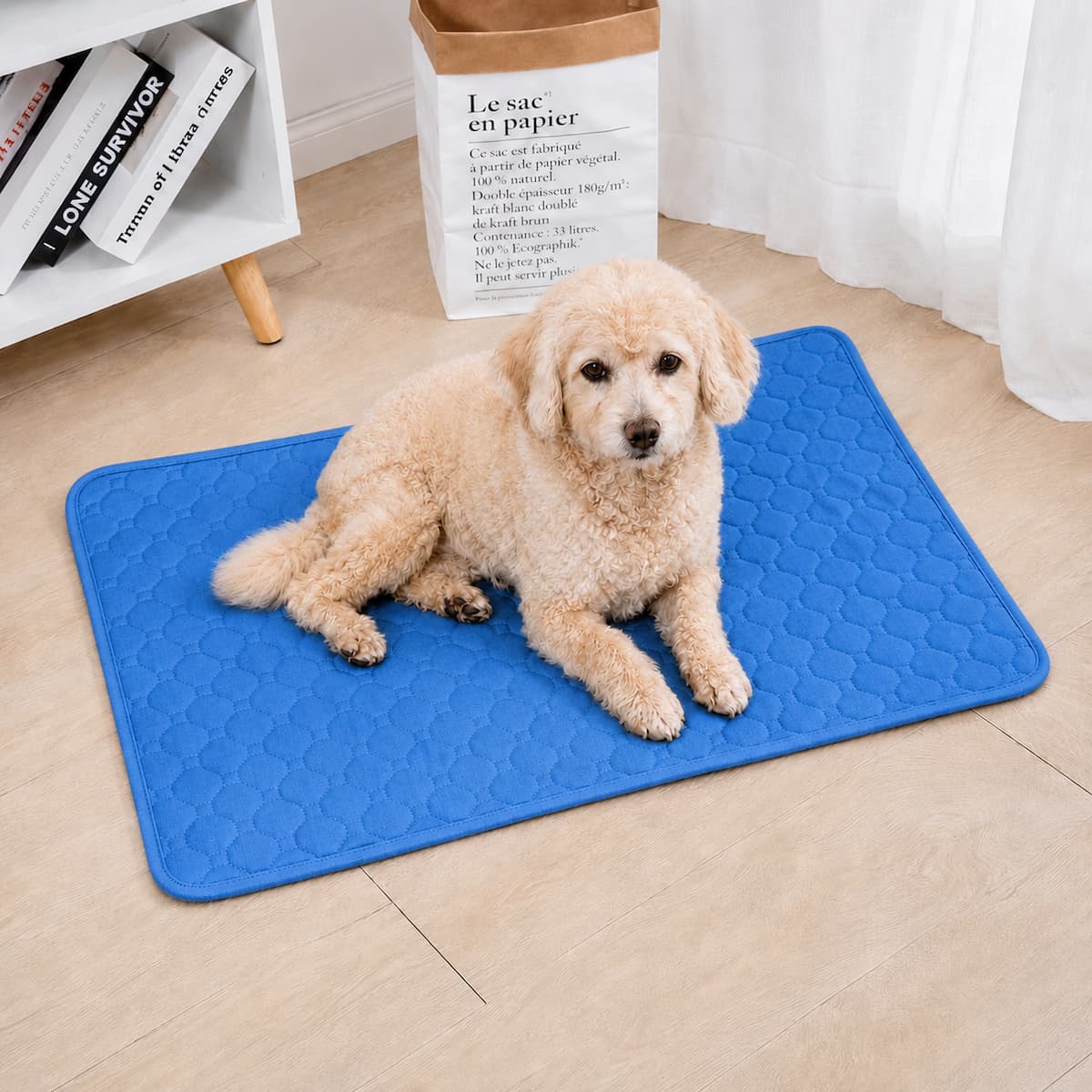 chien senior allongé sur tapis absorbant lavable maison bleu