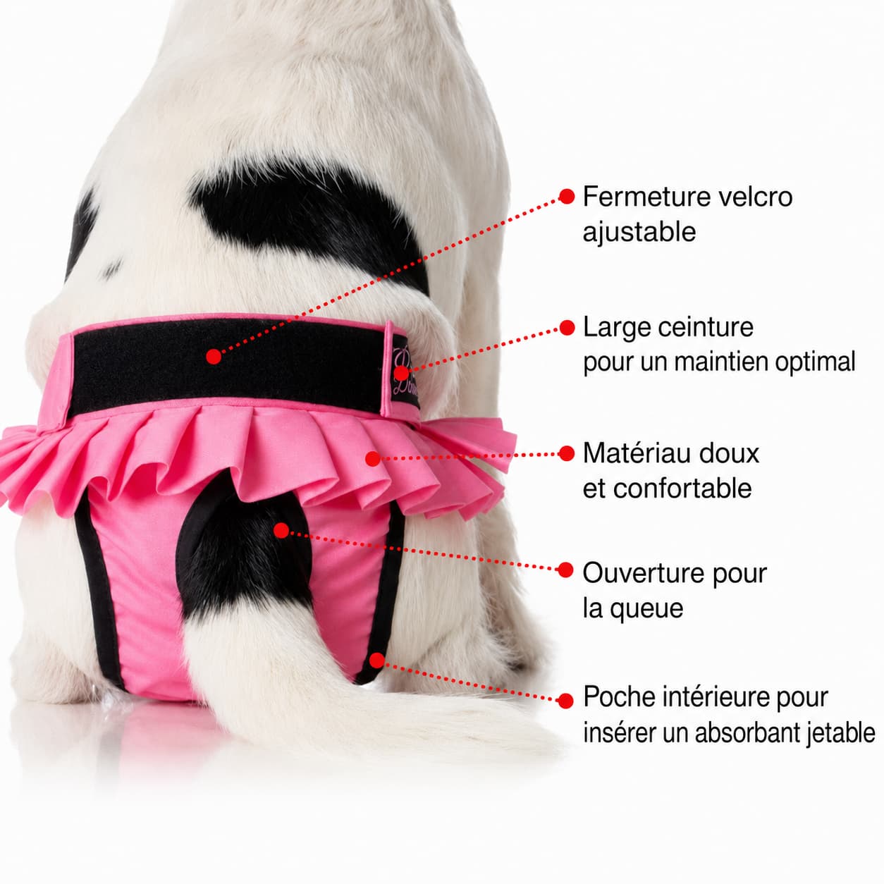 Détails et caractéristiques de la culotte lavable Ballerina