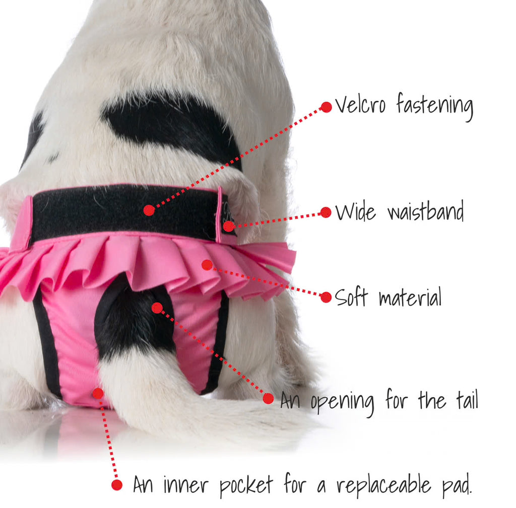 Culotte Ballerina Anti-Fuite Lavable pour Chienne | Incontinence Chien Senior