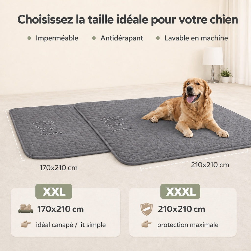 Guide des tailles tapis imperméable XXL et XXXL pour chien avec dimensions et usage canapé ou lit