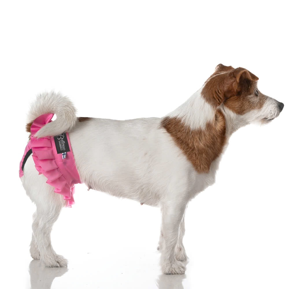 Culotte Ballerina Anti-Fuite Lavable pour Chienne | Incontinence Chien Senior