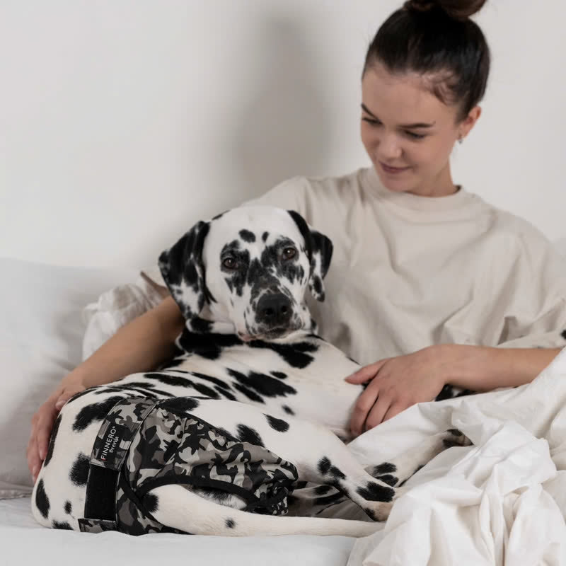 Chienne portant la culotte anti-fuite lavable Brenda allongée auprès de sa maîtresse sur un lit