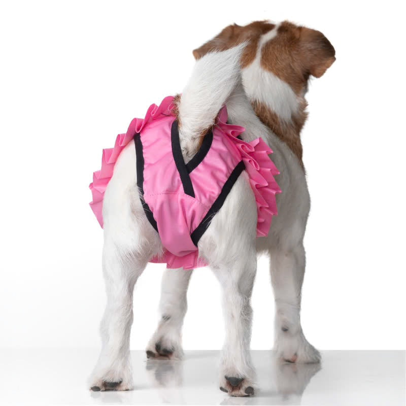 Culotte Ballerina Anti-Fuite Lavable pour Chienne | Incontinence Chien Senior