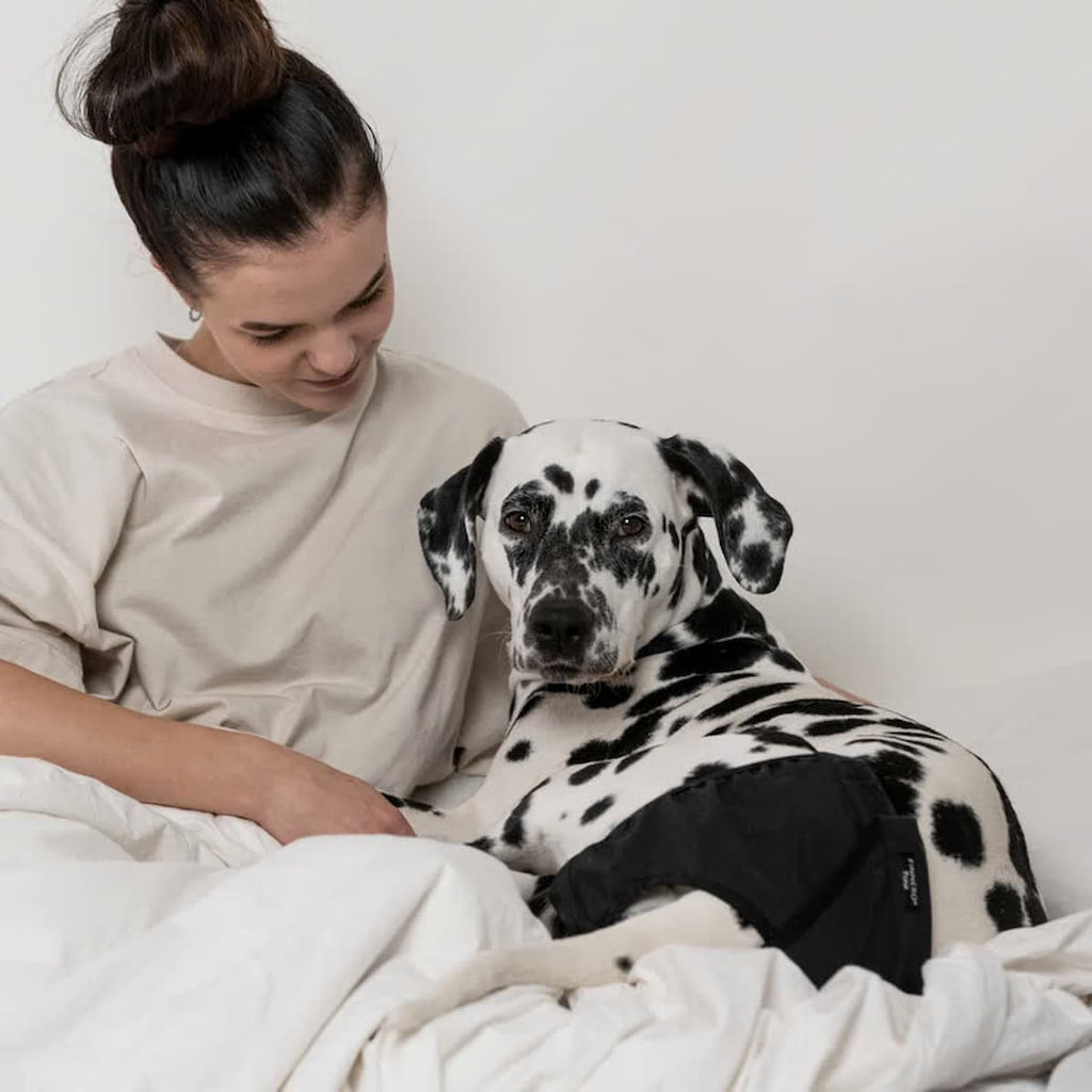 Chien portant la culotte Brava avec sa propriétaire.