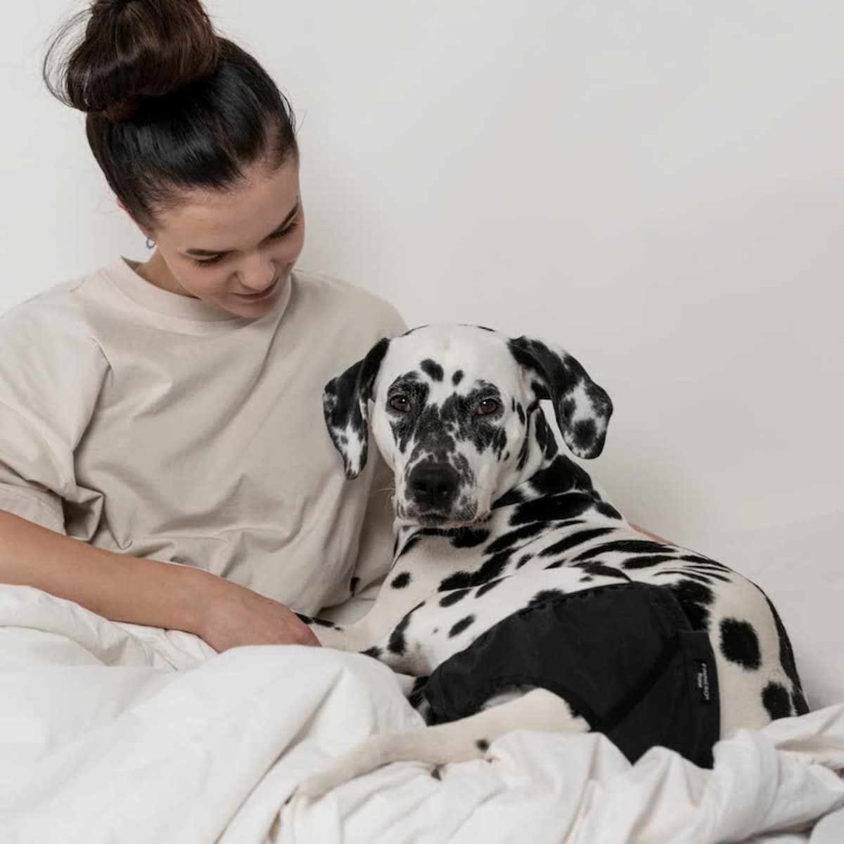Chien portant la culotte Brava avec sa propriétaire.