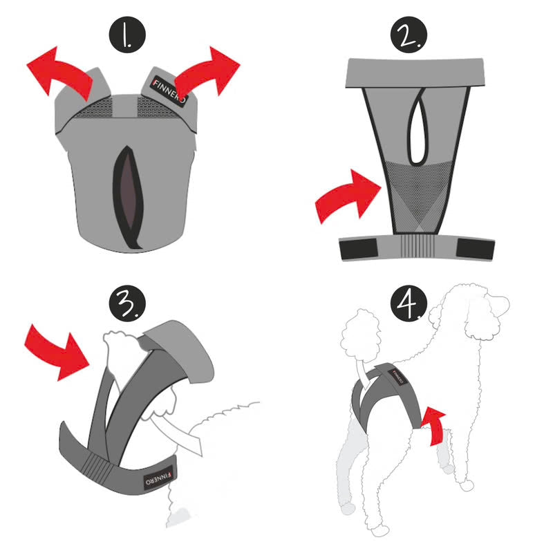 Guide illustré pour enfiler la culotte anti-fuite lavable Brenda sur un chien incontinent