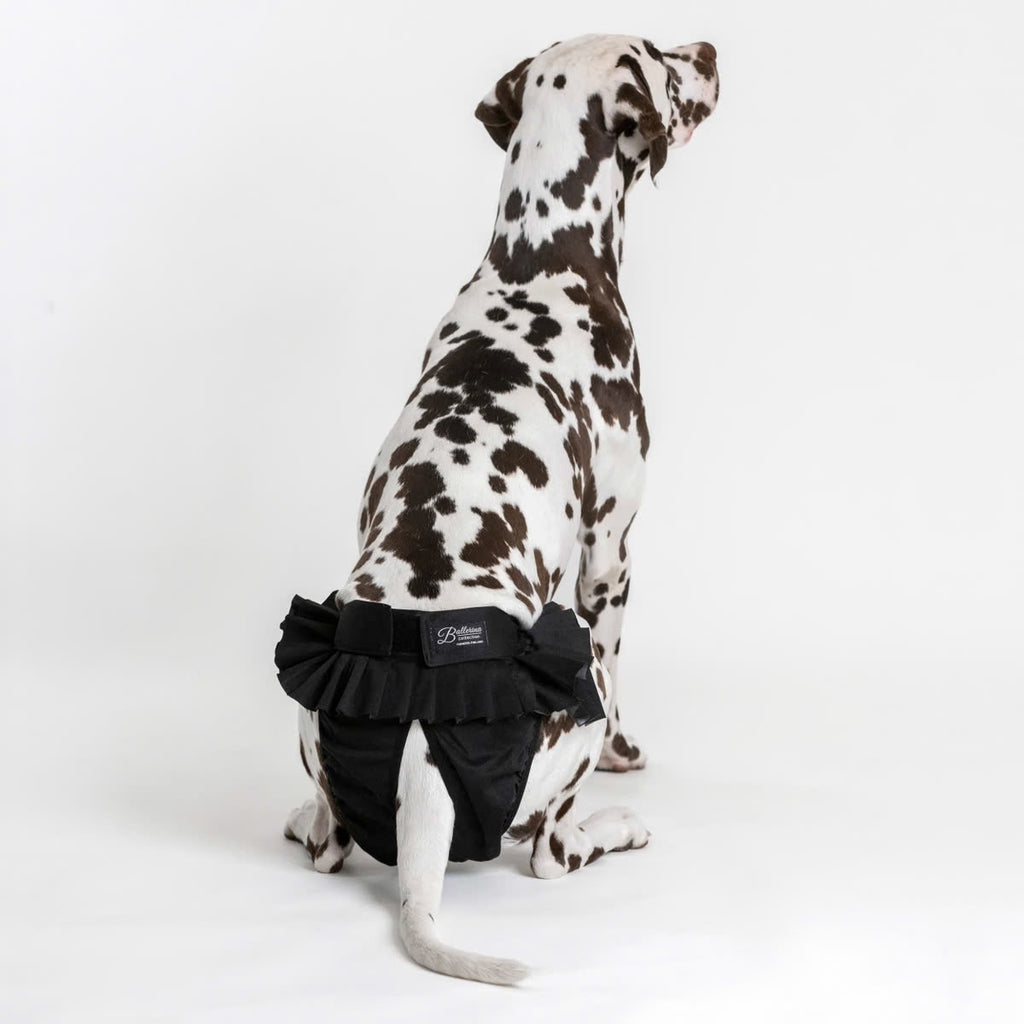 Culotte Ballerina Anti-Fuite Lavable pour Chienne | Incontinence Chien Senior