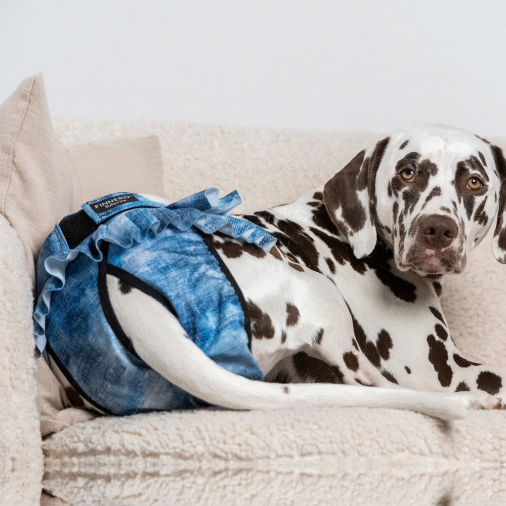 Culotte Ballerina Anti-Fuite Lavable pour Chienne | Incontinence Chien Senior
