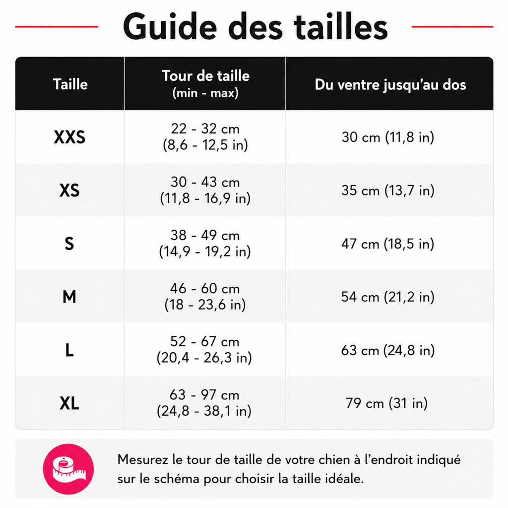 Guide des tailles de la culotte lavable Ballerina