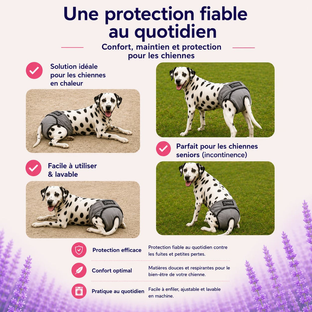 culotte lavable chien protection fiable sans fuite confort sécurité utilisation quotidienne