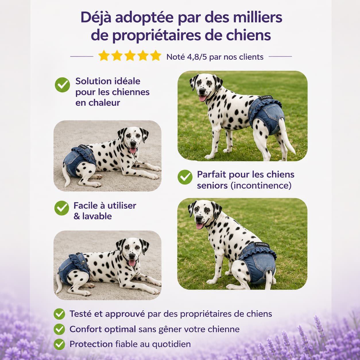 culotte lavable chien protection fiable sans fuite confort sécurité utilisation quotidienne