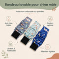 Lot de trois bandeaux lavables anti-fuite pour chien mâle, motifs EasyDoller
