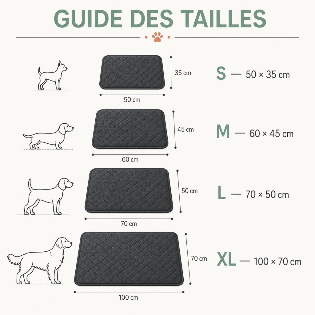 Guide des tailles du tapis absorbant lavable pour chien senior : S, M, L et XL