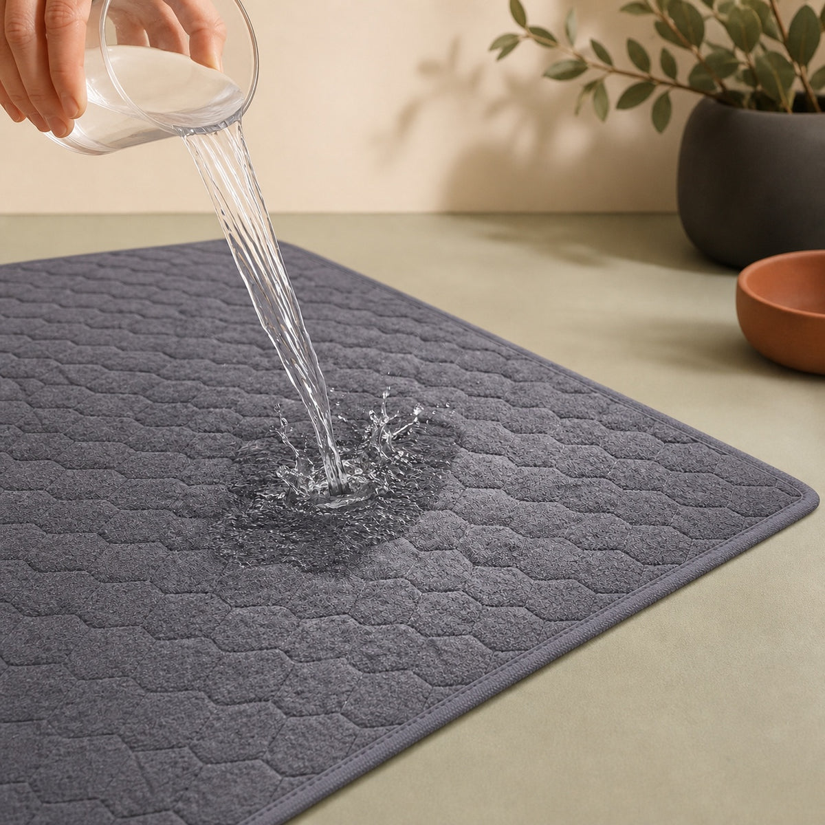Test d’absorption d’un tapis lavable pour chien